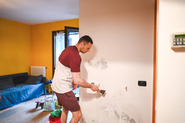 Best Commercial Mold Removal  in Minneota, MN
